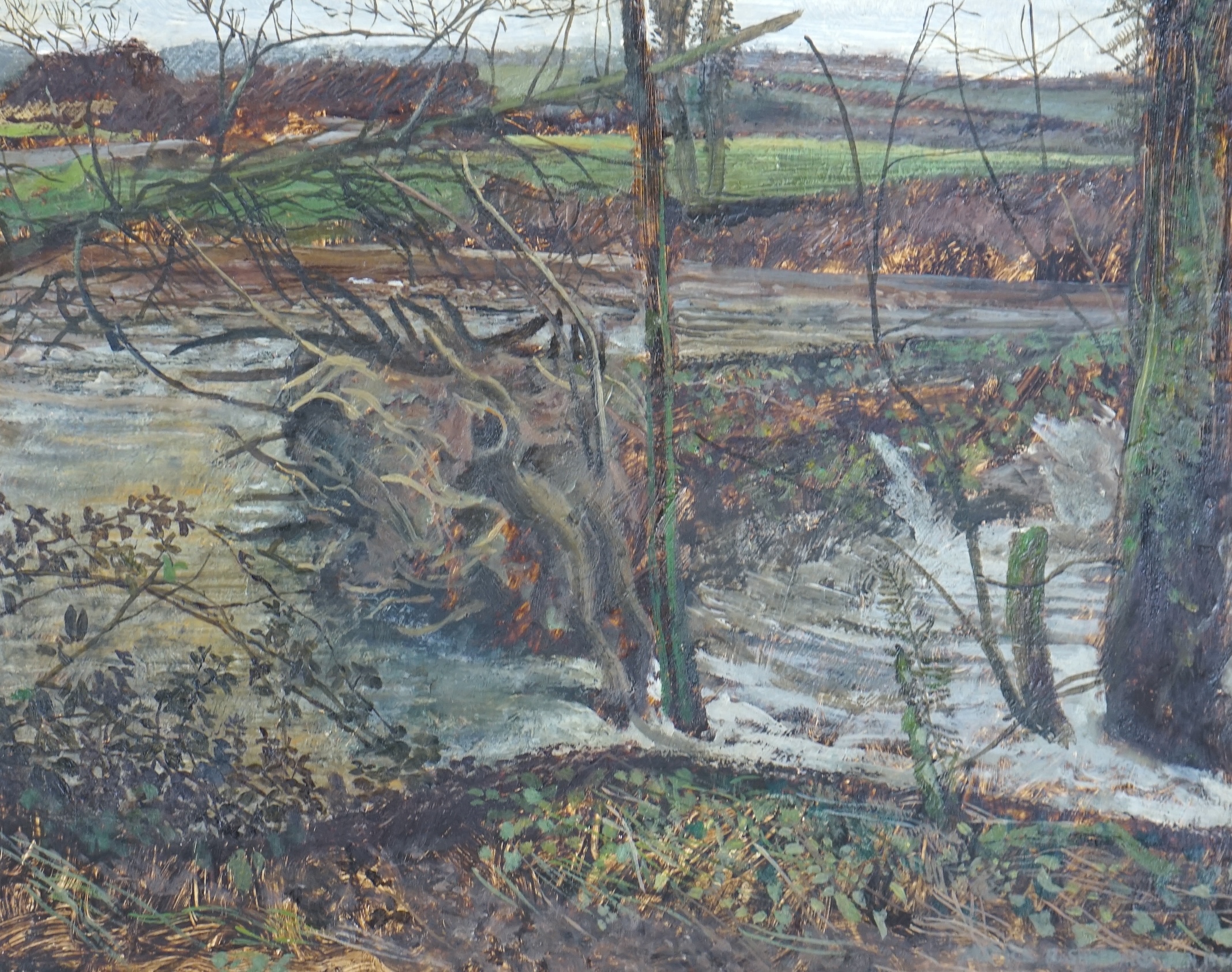 Maurice Sheppard (b.1947), oil on board, Landscape study with fallen tree, signed, 30 x 24cm. Condition - good